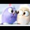 Angry birds 13