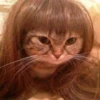 shishi cats 14