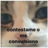 contestame o me convulsiono