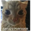 ABRAZO PORFAVOR