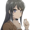 Seishun Buta Yarou wa Bunny Girl Senpai no Yume wo Minai 11