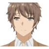 Seishun Buta Yarou wa Bunny Girl Senpai no Yume wo Minai 12