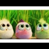 Angry birds 15