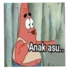 Anak asu..
