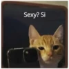 @michis.para.ti Sexy? Si