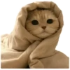 기