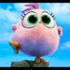 Angry birds 16