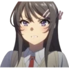 Seishun Buta Yarou wa Bunny Girl Senpai no Yume wo Minai 14