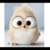 Angry birds 17