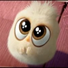 Angry birds 19