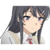 Seishun Buta Yarou wa Bunny Girl Senpai no Yume wo Minai 15
