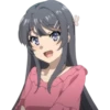 Seishun Buta Yarou wa Bunny Girl Senpai no Yume wo Minai 17