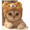 人