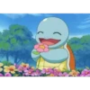 Squirtle BLACKKK 8
