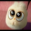 Angry birds 20