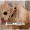 t invito a comernos