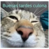 Buenas tardes culona @michis.para.ti