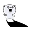 Bear100% 2015 19