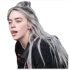 billie pirate 24