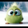 Angry birds 22