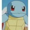 Squirtle BLACKKK 12