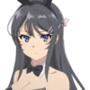 Seishun Buta Yarou wa Bunny Girl Senpai no Yume wo Minai 25