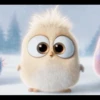 Angry birds 23