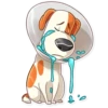 The Secret Life of Pets 23