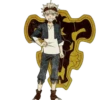 Black clover 14