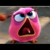 Angry birds 24
