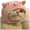 Anak kucing 24