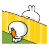 Spoiled rabbit & Smile Person 25