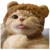 Anak kucing 25