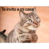 Te invito a mi casa