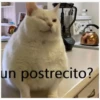 un postrecito?