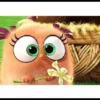 Angry birds 26
