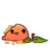 Applepeach dude 25