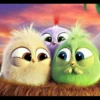 Angry birds 27