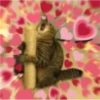 Cats love 27