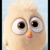 Angry birds 28