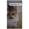 Michi fino