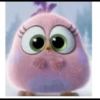 Angry birds 29