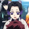 shinobu 30