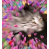 Cats love 30