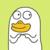Duck 5