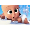 Baby Boss 6