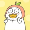 Duck 10