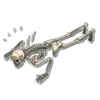 Skeleton Bob / By OsmerOmar 12