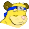 MonkeyBear 12