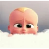 Baby Boss 8